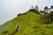 7 Days Kerala Tour- Munnar, Periyar, Houseboat & Varkala Beach 