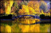 Travel to the Green Dilijan