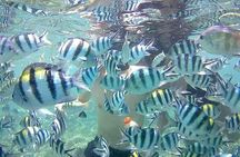 Lombok Tour Package, 4 Days 3 Nights