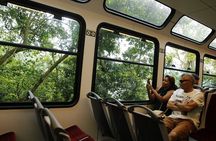 Half Day in Rio Christ by Train, Maracanã, Sambadrome, Cathedral & Selarón Steps