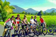 Bali Countryside Cycling Tour by Halo Bike Tour