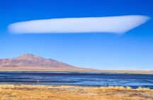 Full day Altiplanic Lagoons + Red stones viewpoint + Salar de Atacama