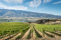 Gourmet Food and Wine Tour Queenstown All-Inclusive Tour