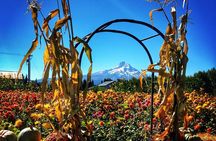 Mt Hood Loop Tour including Multnomah Falls