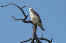 1 Day trip to Hells gate National park and Lake Naivasha boat ride