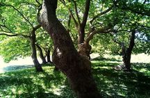 Hiking Tour to the Ancient Monastery of Kameno