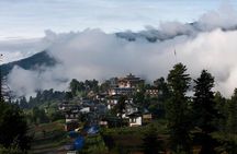 Amazing Bhutan in 7 Days