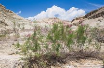 Altyn Emel. Singing dune and Aktau mountains 2 days tour