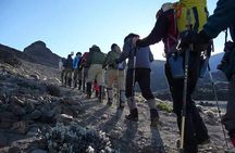 6Days _Hiking _Machame _Route _Kimanajaro _Mountain 