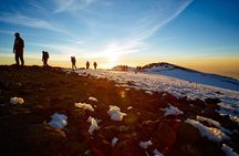 6Days _Hiking _Machame _Route _Kimanajaro _Mountain 