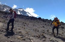 7 days_Mount kilimanjaro Hiking Lemosho Route