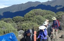 Kilimanjaro 2 days Hike
