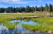Jeep off-road tour with Hike to Bluff Lake Reserve
