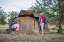 4 Days safari Tour Tanzania 