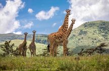 4 Days safari Tour Tanzania 