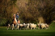 Country Afternoon with Dinner Show - Estancia 25 de Mayo