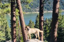 Guided Hiking Tour in Big Bear