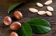 Go Rolaxe Go Massage and Spa with argan oil ®