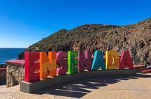Ensenada Shore Excursion: Wine and Cheese Tour with Lunch in Ojos Negros Valley