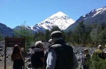 Tour of the Lanin Volcano and Huechulafquen Lake