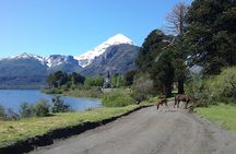 Tour of the Lanin Volcano and Huechulafquen Lake