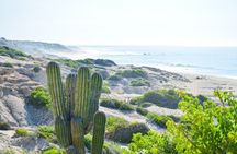 Private Cabo Pulmo Jeep Tour