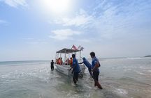 Snorkeling Trip to Pigeon Island