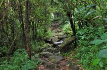 Overnight Adventure Trekking in Knuckles
