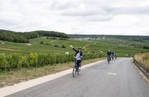 From Reims afternoon e-bike tour, visit and champagne tastings