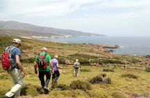 Small-Group Guided Hiking Tour in Andros with picnic on the beach