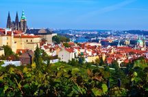 Private Half-Day Walking Tour of Prague's Highlights