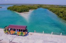 Sian Kaan Tour Contact with Nature! Round Transportation Included