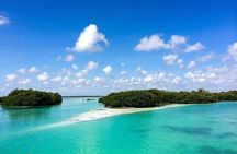 Nature Beauties at Sian Ka'an Biosphere! Round Transportation From Riviera Maya