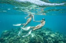 Great Barrier Reef Cruise from Townsville or Magnetic Island