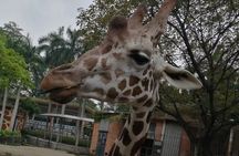 Private Family Day Tour in Guangzhou to Grandview Aquarium and Guangzhou Zoo