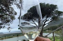 Table Mountain and Cape City Center Guided Tour.