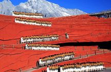 Lijiang Private Day Tour: Jade Dragon Snow Mountain and Impression Lijiang Show