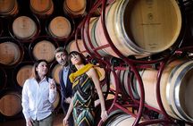 Bolgheri: Premium Wine Tasting with Winery Tour