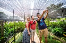 Bangkok Floating Market & Boat Ride to an Orchid Farm