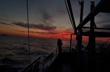 Private Fishing Tour - Sunset (transportation included)