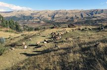 Sacred Valley & Machu Picchu - 2 day tour