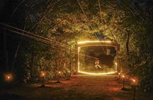 Xplor Fuego Night of Wild Adventure! Roundtrip Included