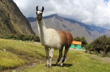 Classic Inca Trail to Machu Picchu (4D/3N)