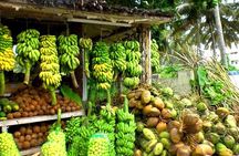 Salalah City Food Tour 