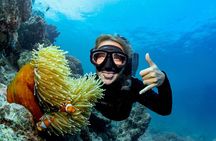 Great Barrier Reef Full Day Tour from Cairns