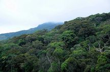 12 Nights Wild Life & Nature Tour