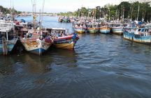 12 Nights Wild Life & Nature Tour
