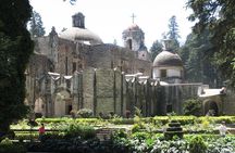 Museum of mummies in San Angel and monastery in Desierto de los Leones forest Private tour