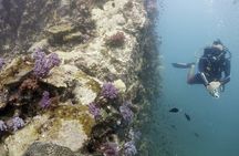 Scuba Diving in Phuket – Full-Day Trip (3 Dives, All Included)