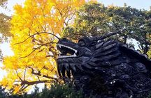 Private Yu Garden, The Bund, French Concession, Pudong Half-Day Tour